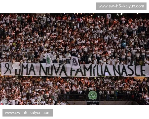 绿茵场上的不屈之魂：沙佩科恩斯与国民竞技的永恒传奇