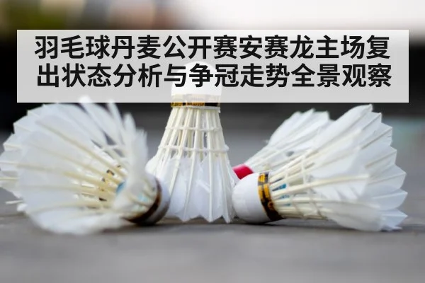 badminton court shuttlecock